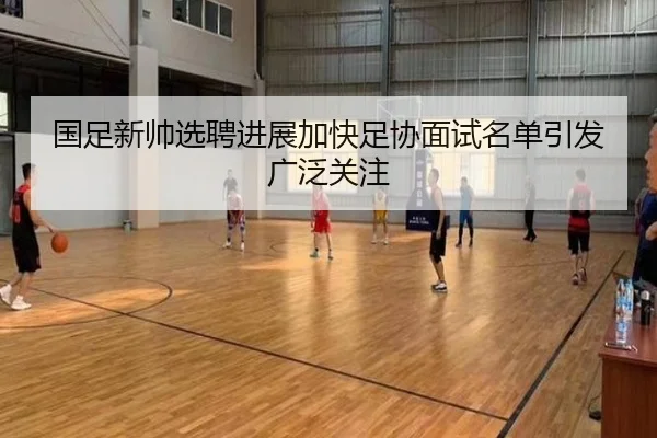 国足新帅选聘进展加快足协面试名单引发广泛关注
