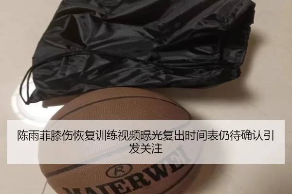 陈雨菲膝伤恢复训练视频曝光复出时间表仍待确认引发关注